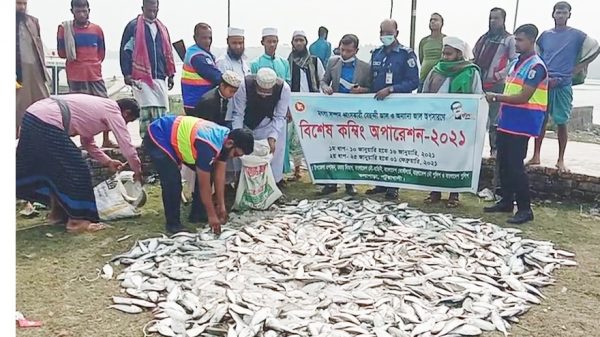 কলাপাড়ায় ৩ লাখ মিটার কারেন্ট জালসহ ১০ মন জাটকা জব্দ