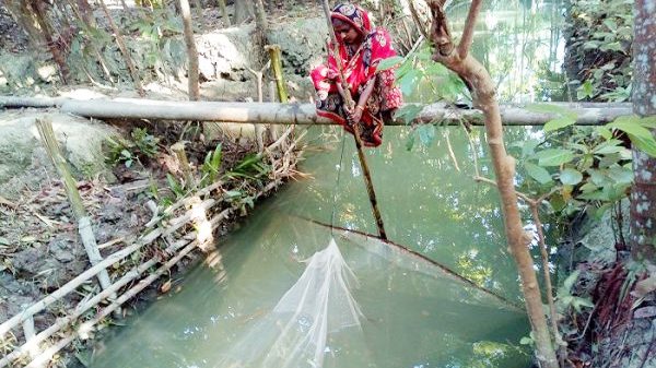 ঝালকাঠির রাজাপুরে প্রত্যন্ত এলাকার সংগ্রামী নারী ফাতেমা