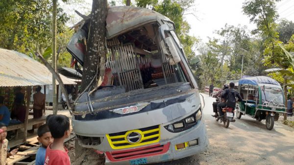 পটুয়াখালীর দুমকিতে গাছে বাসের ধাক্কা, আহত ১০ যাত্রী