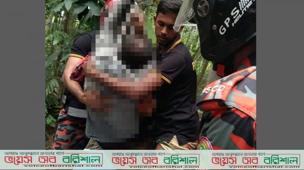 বরগুনায় নারকেল গাছের মাথা থেকে ব্যবসায়ীকে উদ্ধার করল ফায়ার সার্ভিস