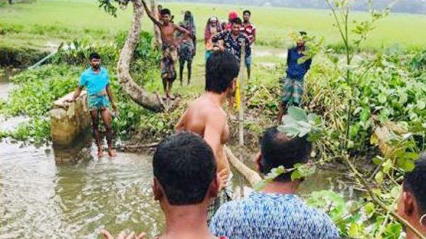 আমতলীতে বাঁধ কাটায় রক্ষা পেল ১০ একর জমি