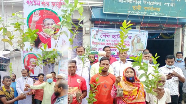 প্রধানমন্ত্রীর জন্মদিনে এমপি শাহে আলমের পক্ষে গাছের চারা বিতরণ