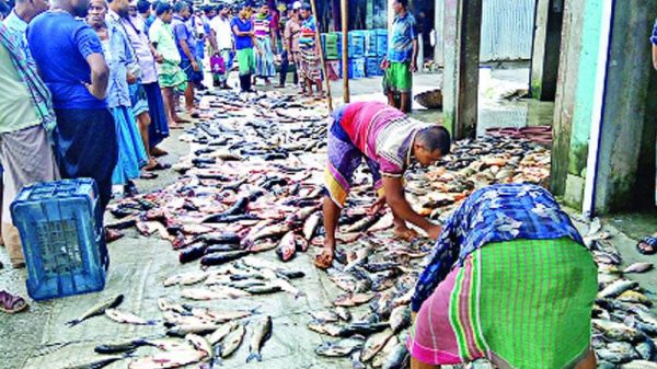 বাজার দখলে নিতে , ষড়যন্ত্রে লিপ্ত একটি মহল