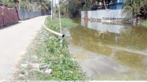 অবশেষে কলাপাড়া পৌরশহরের চিঙ্গরিয়া খালটি ভরাট প্রক্রিয়া শুরু